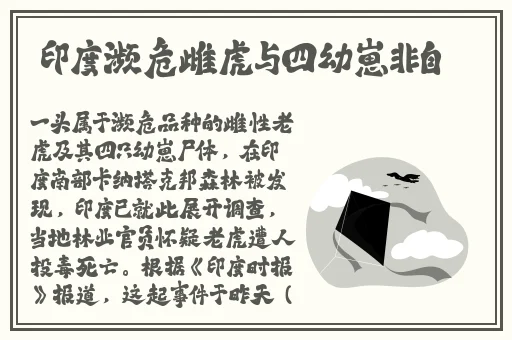 英语班长看我小舅舅